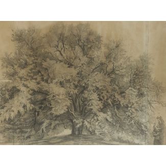 Adolph von menzel (zugeschrieben) 1815 breslau - 1905 berlin eiche. 1871