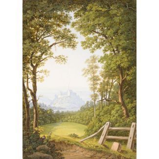 Aussicht auf das schloss fürstenstein