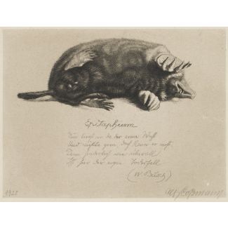 Epitaphium toter maulwurf' (1920)