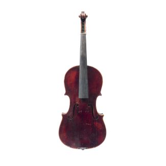 Violine