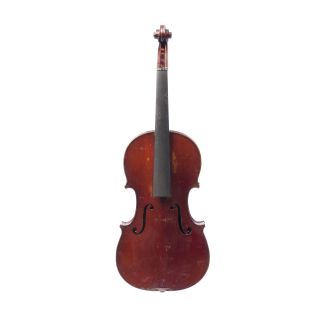 Violine