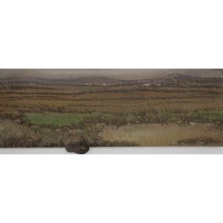 Paisajes de Fuerteventura, 1995-96